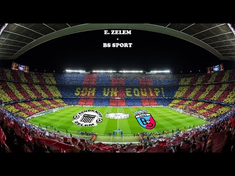 E. Zelem - BS Sport: samenvatting