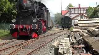 preview picture of video 'Hessencourrier und Bahnhofsfest in Naumburg mit Zeckenalarm 2014'