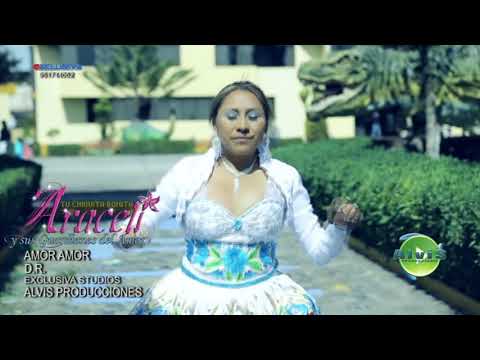 Amor Amor (Primicia 2013) - Araceli y sus Guardianes