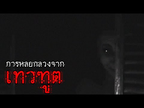 การหลอกลวงจากเทวฑูต | The Mandela Catalogue Vol.4