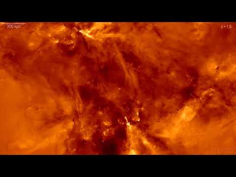 IllustrisTNG 50 - Formation of a small galaxy cluster