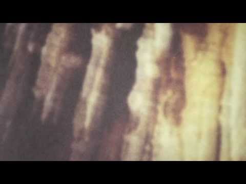 Joy Orbison & Boddika - TMTT (HQ Vinyl Rip)