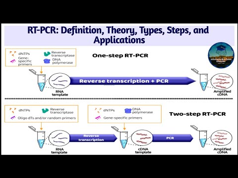 Real Time Polymerase Chain Reaction - Definition, Types, Steps, and Applications - Molecular Biology