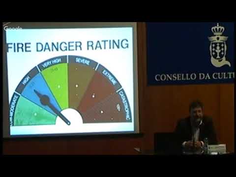 Vídeo: Orde e desorde no espazo forestal 