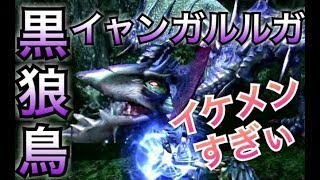 #23【MHXX/HD】まじカッケェ！大好きなガルルガ先輩とアゲアゲバトル【ダブルクロス】