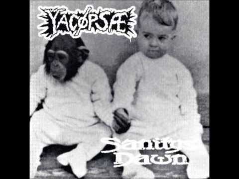 Yacøpsæ - Spätfilmwichser