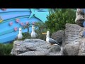 Disney World Epcot S The Sea With Nemo And Friends