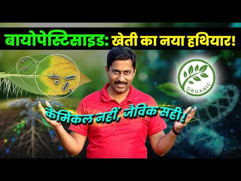रासायनिक औषधांपासून मुक्ती: जैविक पद्धतीने पिकांचे संरक्षण