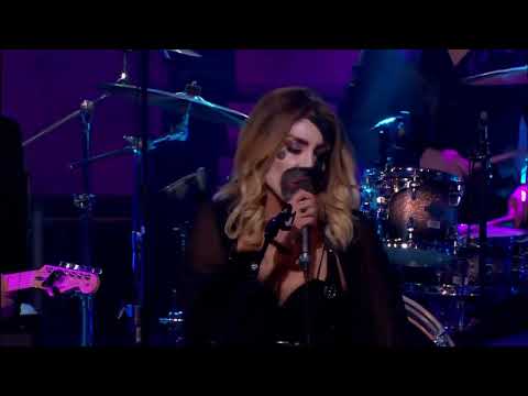 KOMIKS VUK I BILJA VS IRMA - 18.12.2022. - INSTA TV