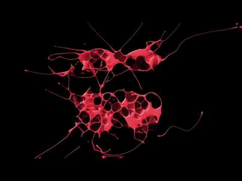 Grada vs Gianni Coletti - Drunken Gypsy (Denz Remix)