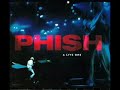 Phish - Montana