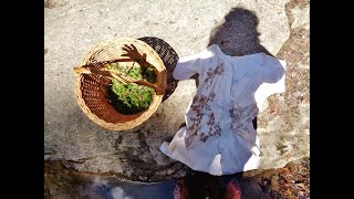 In Memoriam : Empreintes Végétales et Rituel à la Source 🌿 | Sandrine de Borman