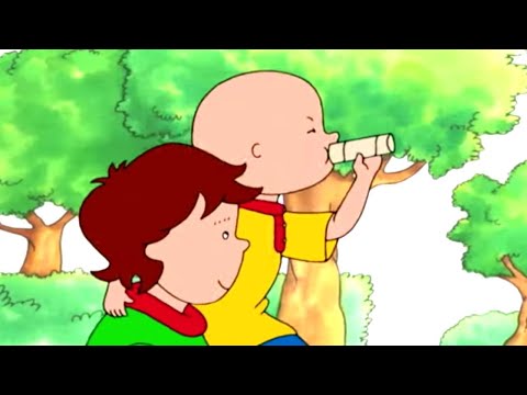 Caillou Wants Attention | Caillou | Cartoons for Kids | WildBrain - Caillou & Cartoons