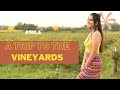 First Road Trip After Covid L Travel With Srishty Rode To The Vineyards