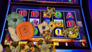 HEARTS OF ROMANCE FREE SPINS,BIG LINE HIT WHALES OF CASH DELUXE, LIVE PLAY DUELING WILDS