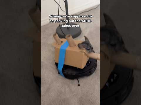 Flying chinchillas, battle chinchillas AT YOUR STATIONS