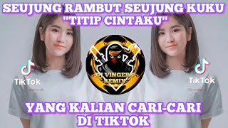 Download lagu DJ SEUJUNG RAMBUT SEUJUNG KUKU REMIX TIKTOK VIRAL FULL BASS TERBARU 2022 mp3
