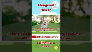 Download lagu LEARN TO SPEAK with fun: get to know dogs and fun facts about them #shorts mp3 Download lagu LEARN TO SPEAK with fun: get to know dogs and fun facts about them #shorts mp3