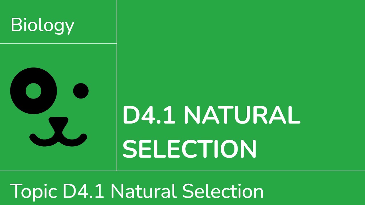 D4.1 Natural Selection [IB Biology SL/HL]