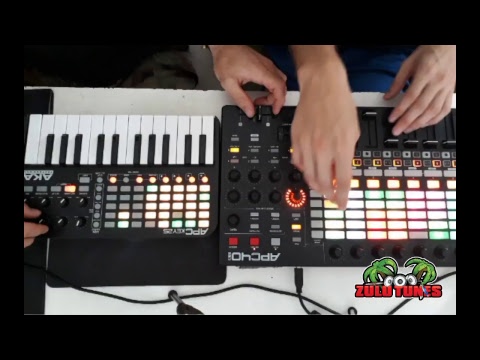 Organoise _  Live Stream - Feb 2019