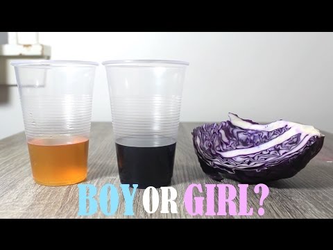 RED CABBAGE GENDER TEST | BOY OR GIRL??? Video