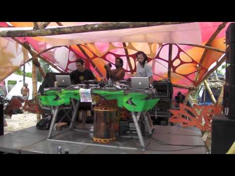 Locks Live (Ananda Tribe) - 303 stage up 2011/2012