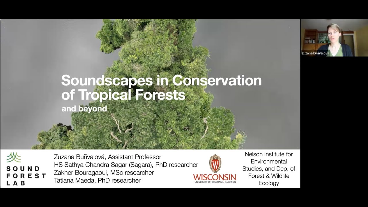 BioacousTalks: The Sound Forest Lab