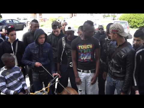 FREESTYLE: SAINT CYR