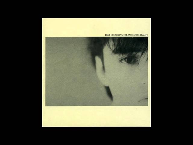 Felt: l'artista che ha segnato la scena indie degli anni '80