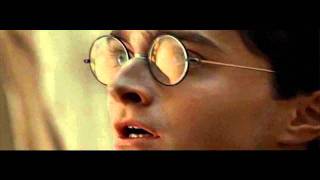 Harry Potter & the Deathly Hallows Part 1: Voldemort finds Gregorovitch