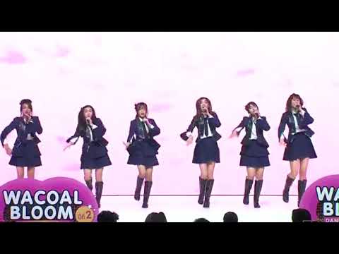 Sakura no hanabiratachi BNK48 Wacoal Bloom @ไบเทค บางนา