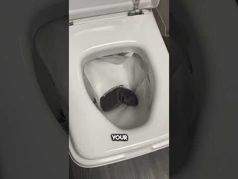 This Toilet Will Revolutionize Bathroom Experience