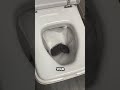 This Toilet Will Revolutionize Bathroom Experience