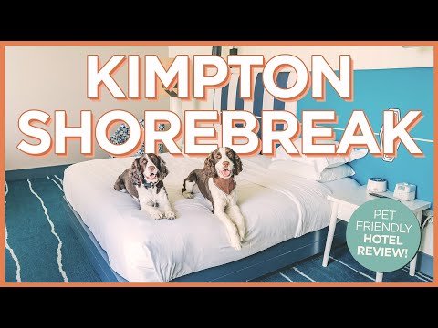 超級愛狗的金普頓Shorebreak度假村在亨廷頓海灘的回顧 (Super Dog-Friendly Kimpton Shorebreak Resort Review at Huntington Beach)