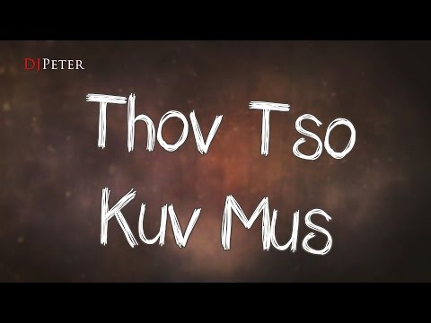 Sandy Moua - Thov Tso Kuv Mus (DJPeter Instrumental)