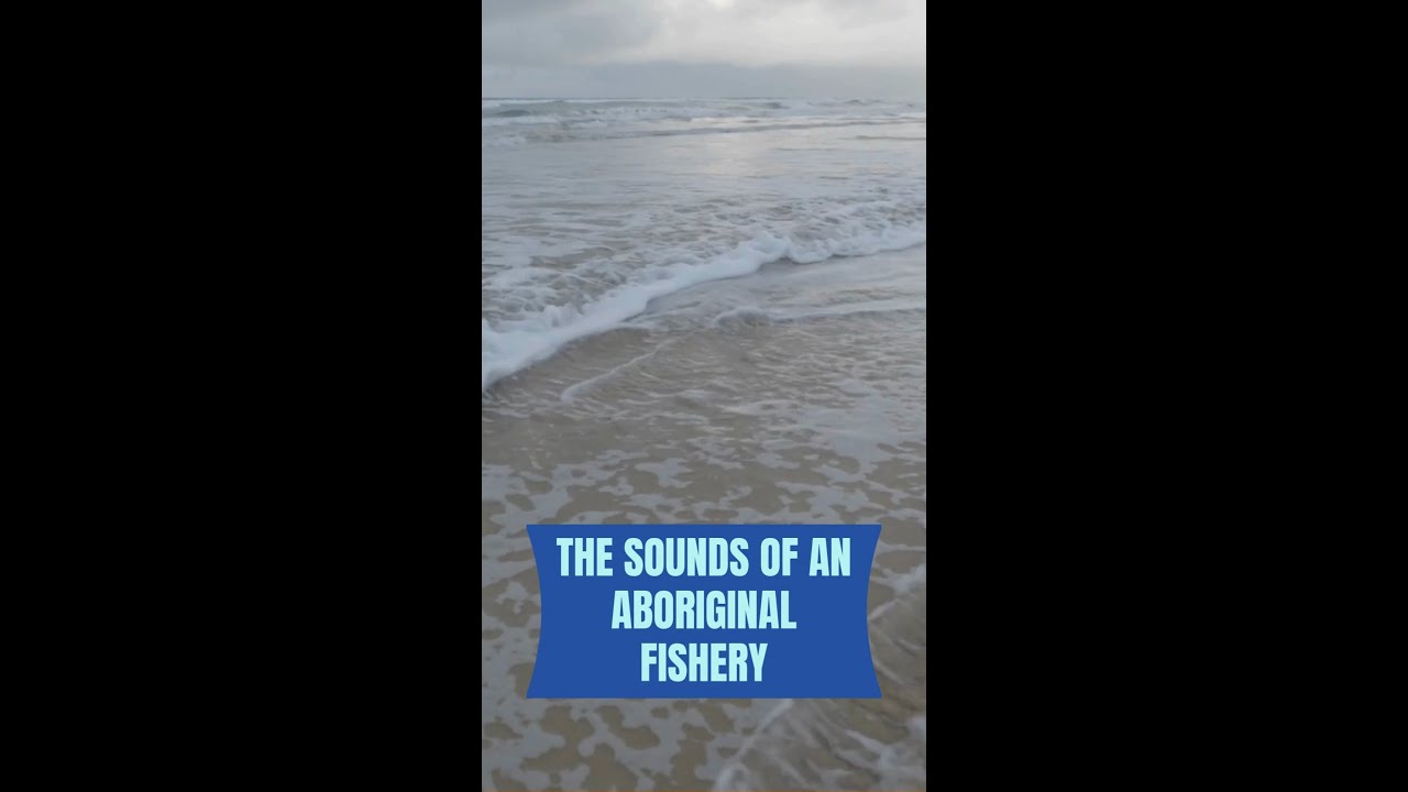 Meet this Aboriginal fishery hand harvesting cockles!