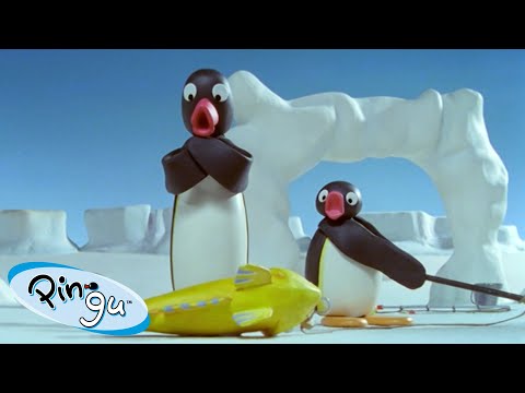 Pingu's Favorite Adventures🐧 | Pingu – Official Channel | Cartoons For Kids - Kids (0-4), Kingdom Kids Zone - Pingu - Official Channel
