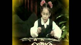 Jing Lu's Chinese Dulcimer (YANG QIN)