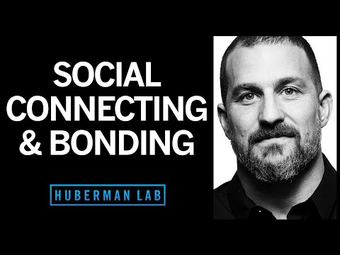 ถอดรหัสความผูกพันทางสังคม: สมองเราสร้างสายสัมพันธ์ได้อย่างไร?