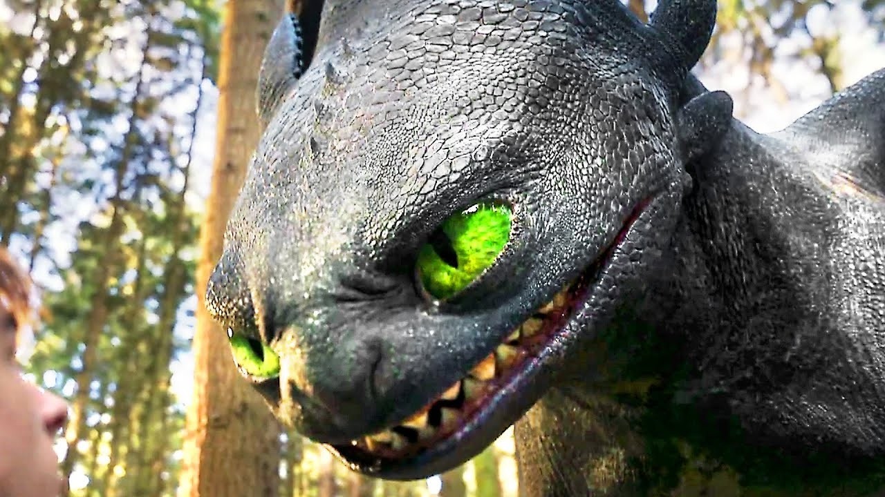 How to Train Your Dragon - Видео