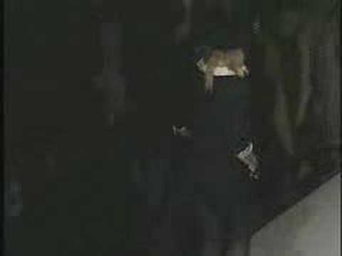 New York Fashion Week 2007: DKNY Fall Runway Show