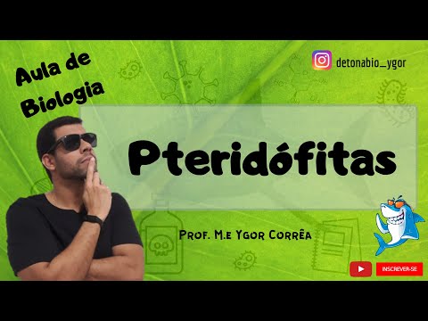 Botânica (Aula 3) - Grupos vegetais - Pteridófitas