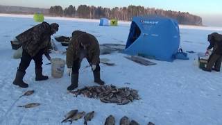 Зимняя ловля подлещика на иркутском водохранилище