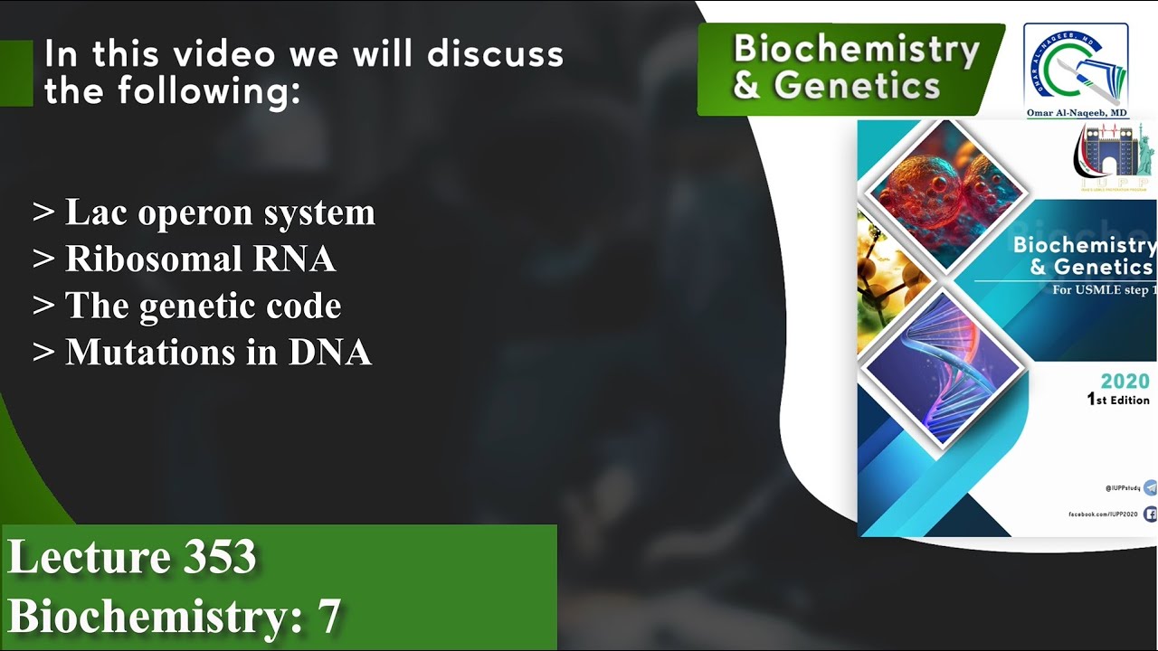 Lac operon system | The genetic code | Mutations in DNA