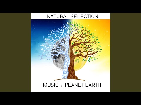 download lagu mp3 mp4 Stephen Hilton, download lagu Stephen Hilton gratis, unduh video klip Stephen Hilton