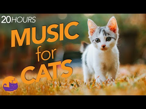 EXTRA LONG Music for Cats | TESTED Natural Anxiety Relief