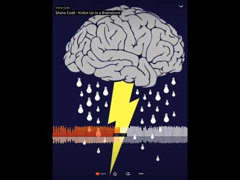 Shane codd - kickin up in a brainstorm