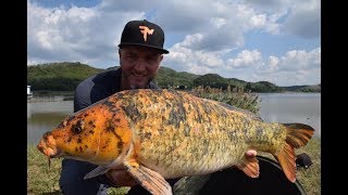 FEEDERMANIA - Maconka a koik napja