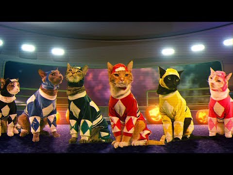 Mighty Morphin Meower Rangers | Ep 1 – A Meower Rangers Halloween
