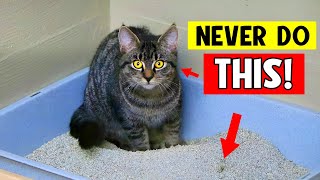 Dangerous but Common Mistakes Cat Owners Make! Your Cat's Life Can Depend on This! ⚠️